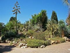 183 D35 PARC OLBIUS RIQUIER A HYERES_000008